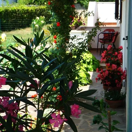 Appartement Medusa 3 Rovinj