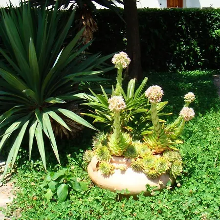 Appartement Medusa 3 *